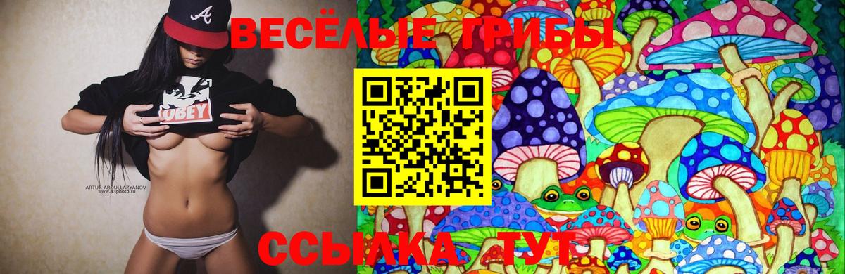 Галлюциногенные грибы MAGIC MUSHROOMS  Вход с VPN  Кстово  Псилоцибиновые грибы мицелий 